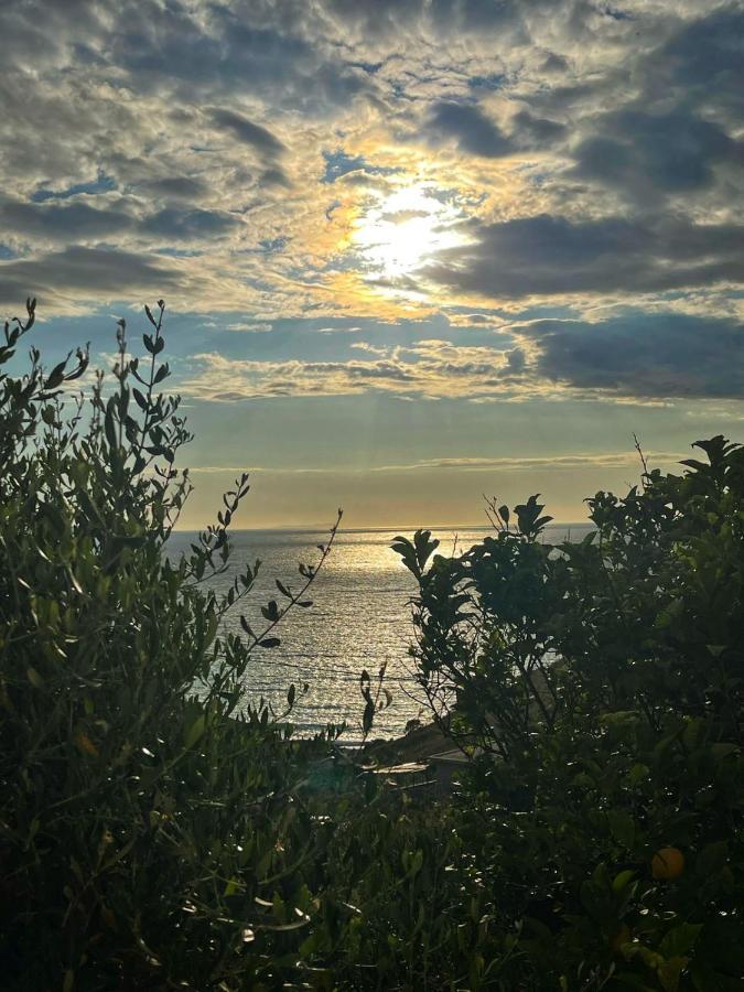 Vila Paza Sarandë Eksteriør billede